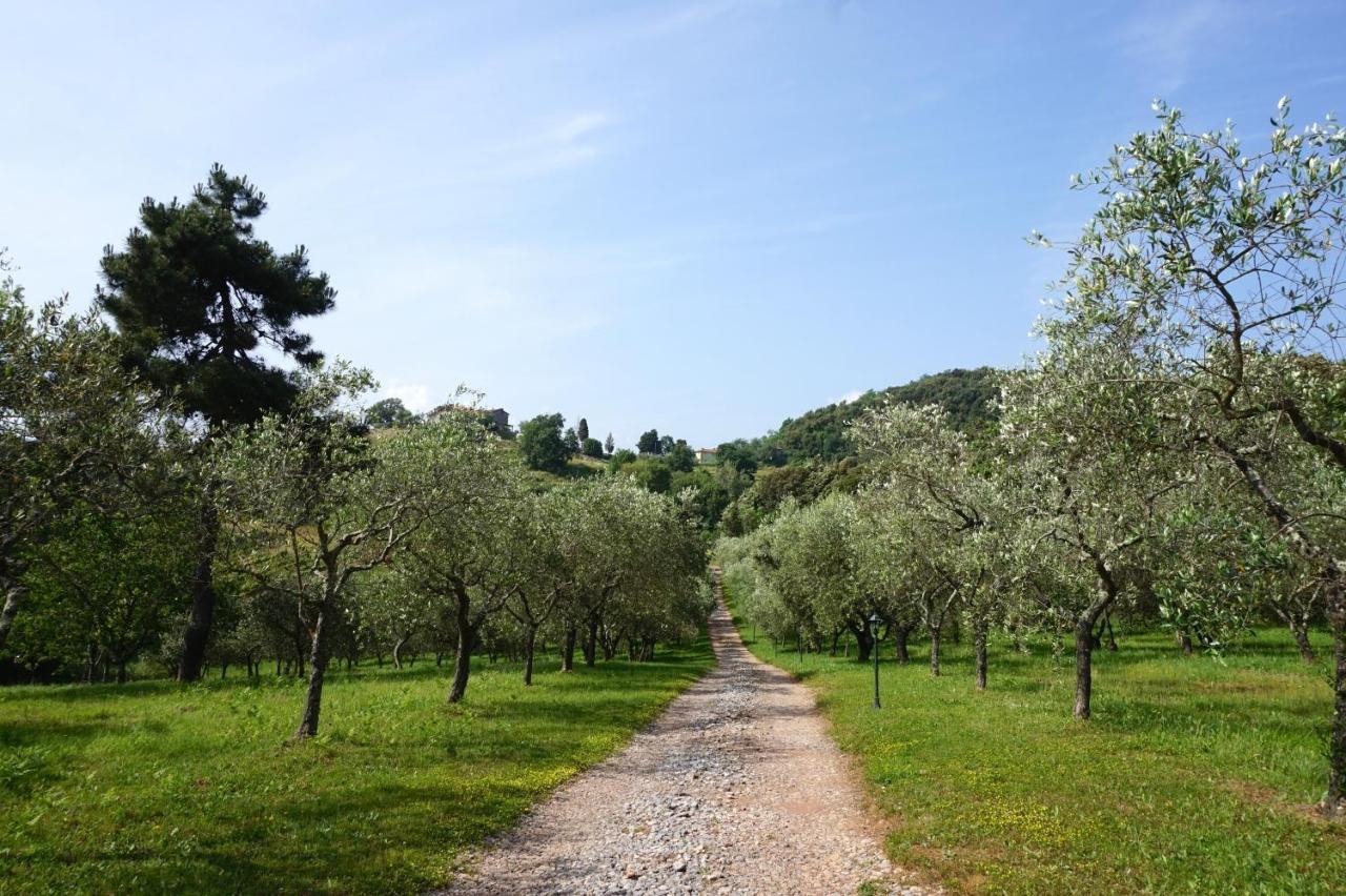 Apartmán Agriturismo Le Vallilunghe Lucca Exteriér fotografie
