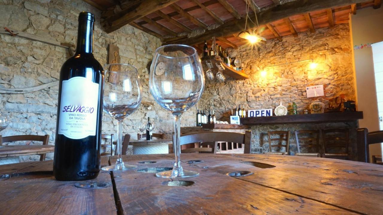 Apartmán Agriturismo Le Vallilunghe Lucca Exteriér fotografie