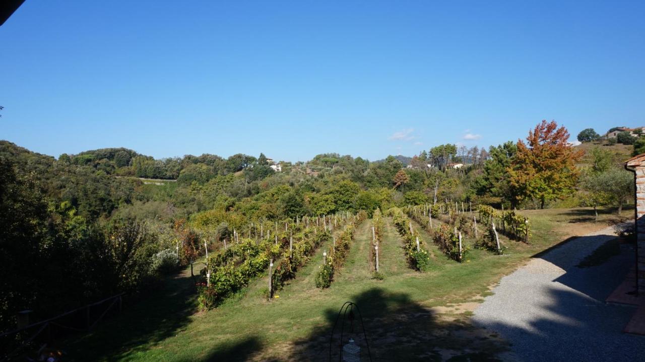Apartmán Agriturismo Le Vallilunghe Lucca Exteriér fotografie